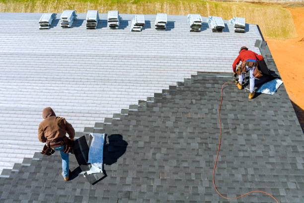 Best Roof Moss and Algae Removal  in Livingston, TN