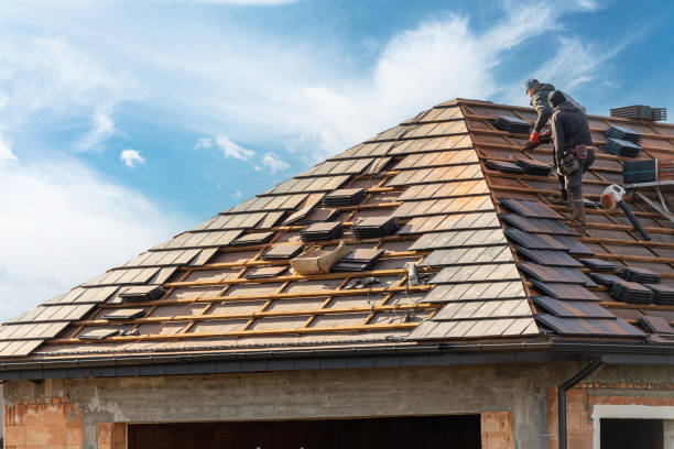Best Metal Roofing Installation  in Livingston, TN